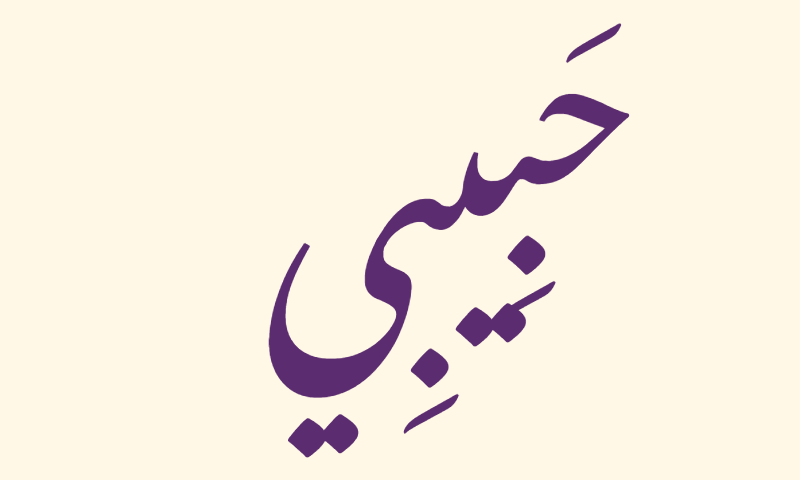 Habibi in Nastaliq calligraphy in purple on ivory background